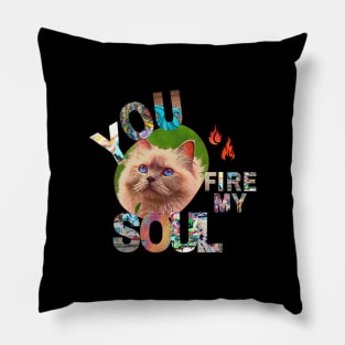 You Fire My Soul Cat Pillow