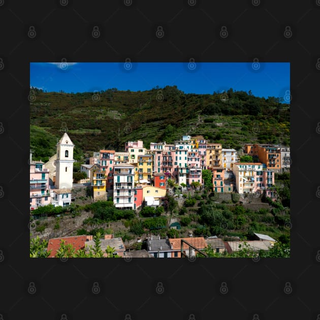 View on the cliff town of Manarola, one of the colorful Cinque Terre on the Italian west coast by Dolfilms