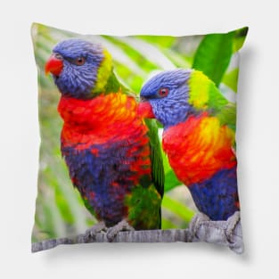 Rainbow Lorikeets Pillow