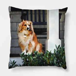 Spaniel on Porch Pillow