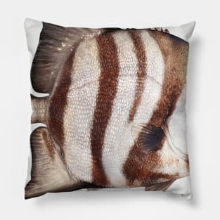 Angel Fish Pillow