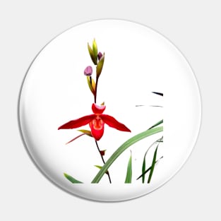 Orchid 1 Pin