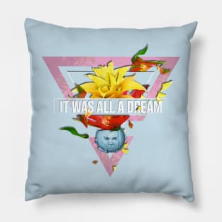 It Was All a Dream Pillow