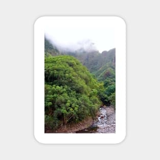 Iao Valley State Park Study 3 Magnet