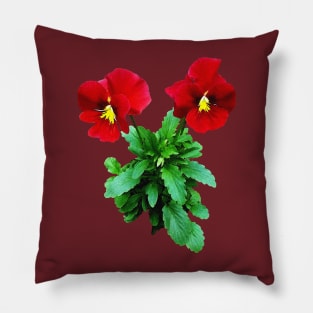 Pansies - Red Pansy Duo Pillow