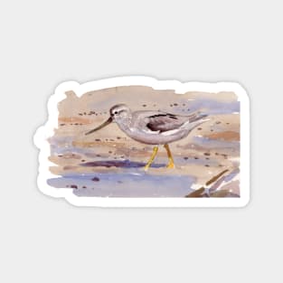 Terek Sandpiper sketch Magnet