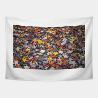 Colourful autumn leaves Tapestry