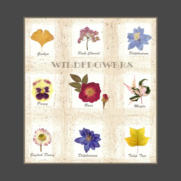 Wildflowers by My Petal Press