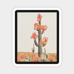 Cactus in desert with flowers Magnet