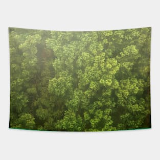 Japanese Cedar woods Tapestry