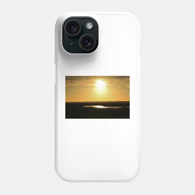 Rays Of Sun Phone Case by Cynthia48