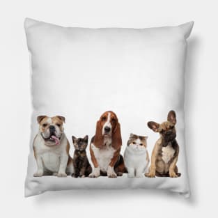 The Motley Crew Pillow