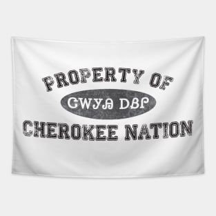 Property of Cherokee Nation 3 Tapestry