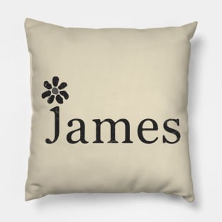 JAMES VINTAGE STYLE Pillow