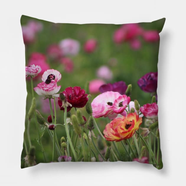 Jelly Bean Colored Ranunculus Pillow by ButterflyInTheAttic