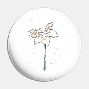 Narcissus. Spring Flower. Watercolor, art decoration, sketch. Illustration hand drawn modern Pin