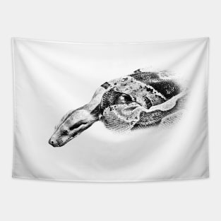 Boa constrictor Tapestry