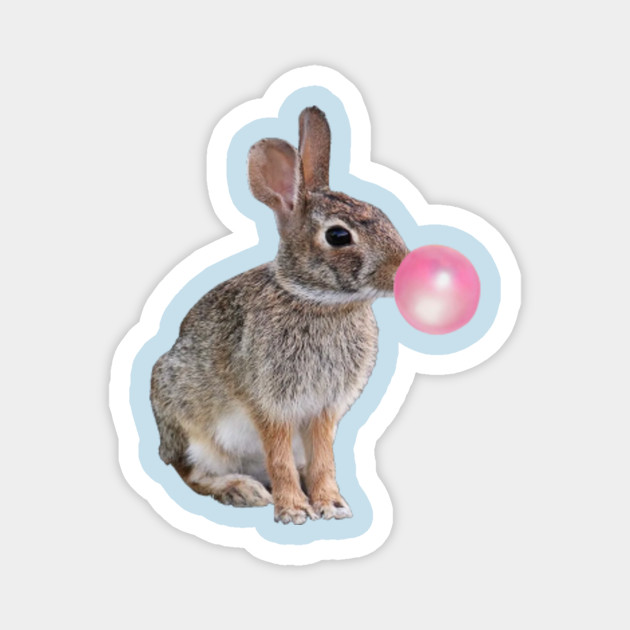 bubble bunny