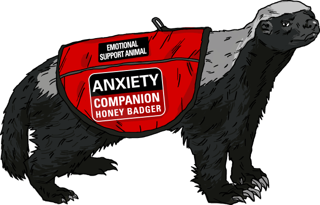 Anxiety Companion Honey Badger Kids T-Shirt by castrocastro