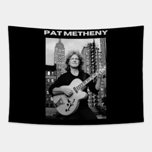 Pat Metheny Tapestry