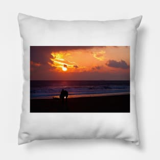 Dawn Dog Days Pillow