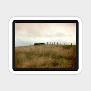 Looking up to a Sheep Pen Magnet