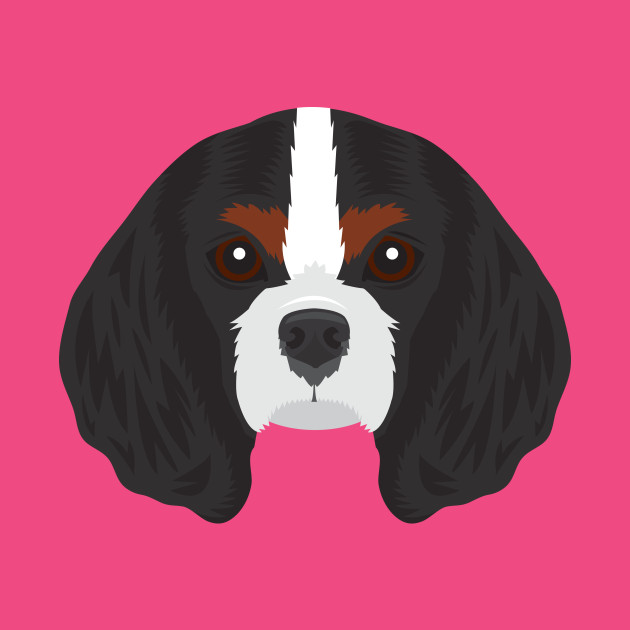 cavalier king charles spaniel cavalier king charles king charles spaniel weight chart