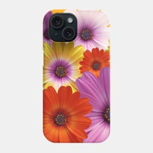 Colorful Pastel Medley of African Daisies / Osteospermums Phone Case