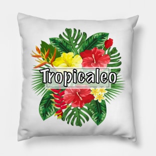 Latino Summer Vibes Pillow