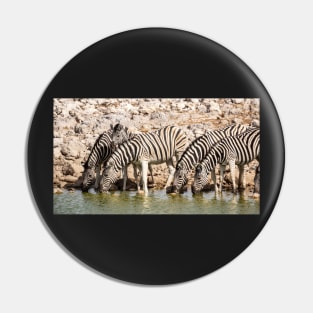 Zebras at the waterhole, Etosha National Park, Namibia Pin