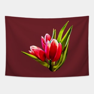 Group of Red Tulips Tapestry