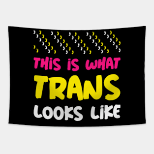 This is what Trans Looks Like, Transgender Shirt Tapestry