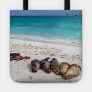 Sea Lions Resting on Galapagos Beach Tote