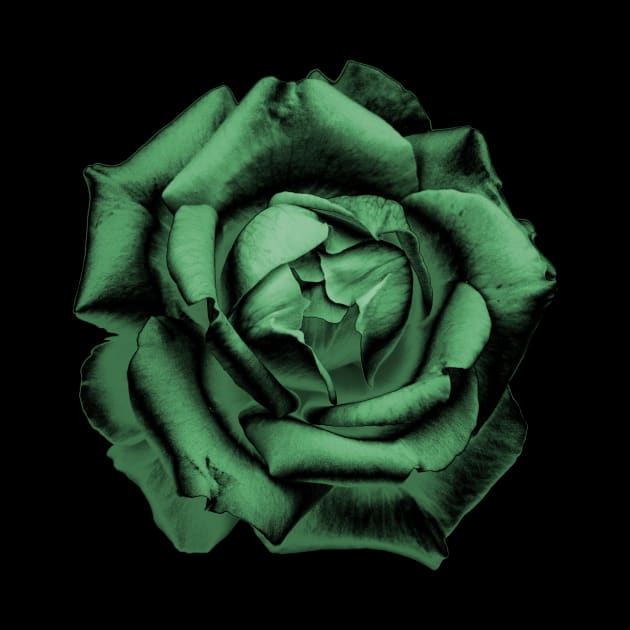 Green Charcoal Rose by nautilusmisc