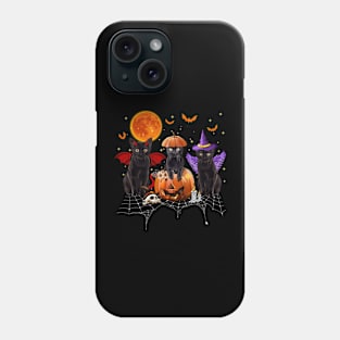 Black Cat Halloween, Black Cat Sitting On Pumpkin, Cat Halloween Phone Case