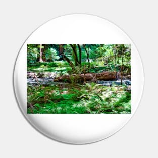 Muir Woods Study 9 Pin