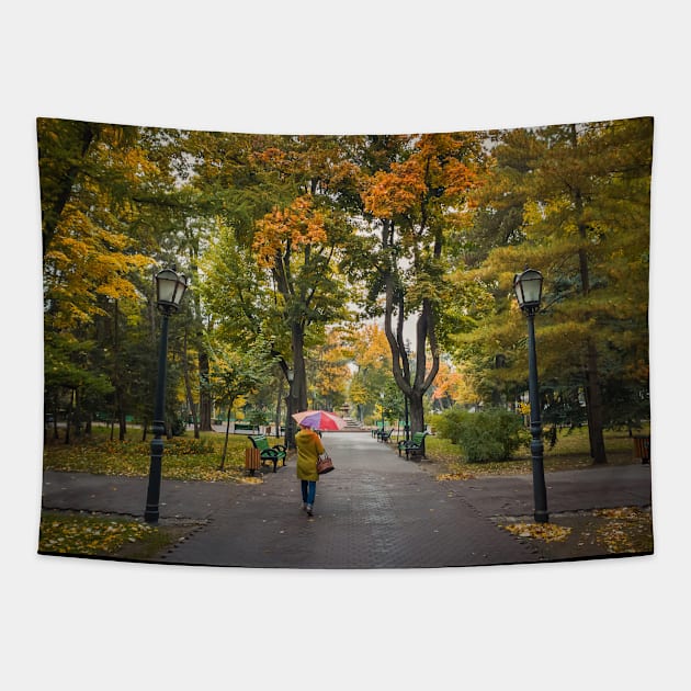 fall season in the park Tapestry by psychoshadow