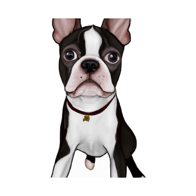 Cute Boston Terrier Drawing by Play Zoo