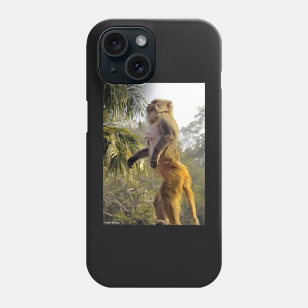 Cute Monkey Stand Up for your rights Phone Case by PlanetMonkey