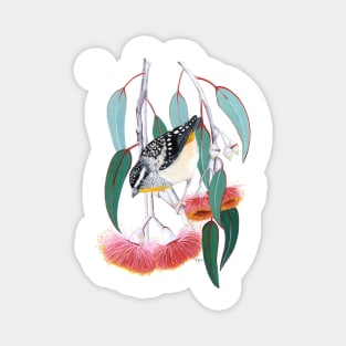 Pardalote and Silver Princess Gum Magnet