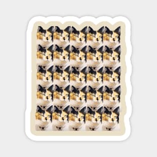 cats three colour pattern Magnet