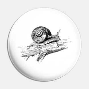 Garden Snail Ink Drawing Pin