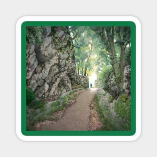 Mountain path Magnet