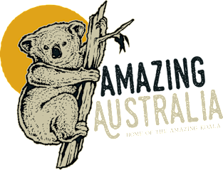 Amazing Koalas Magnet