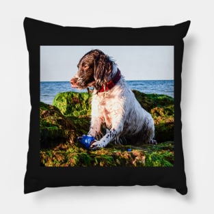 English Springer Pillow