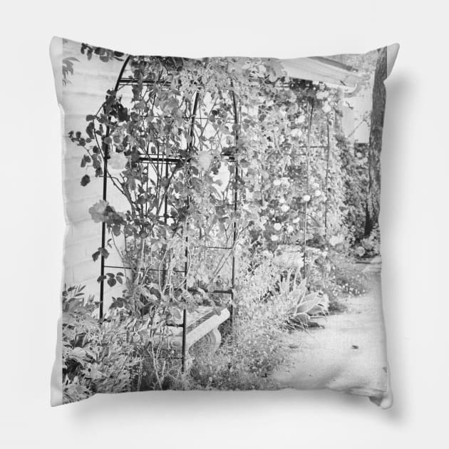 Flower Garden in Simple Gray-scale Solvang CA Pillow by ButterflyInTheAttic