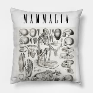 Vintage Mammal Skeleton Illustration Pillow