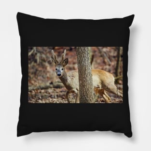 Roe buck in the forest Pillow