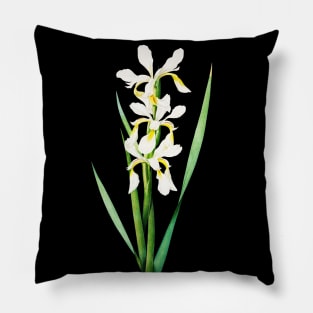 White lily flower Pillow