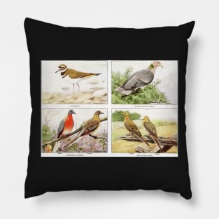 Mixed Birds Pillow